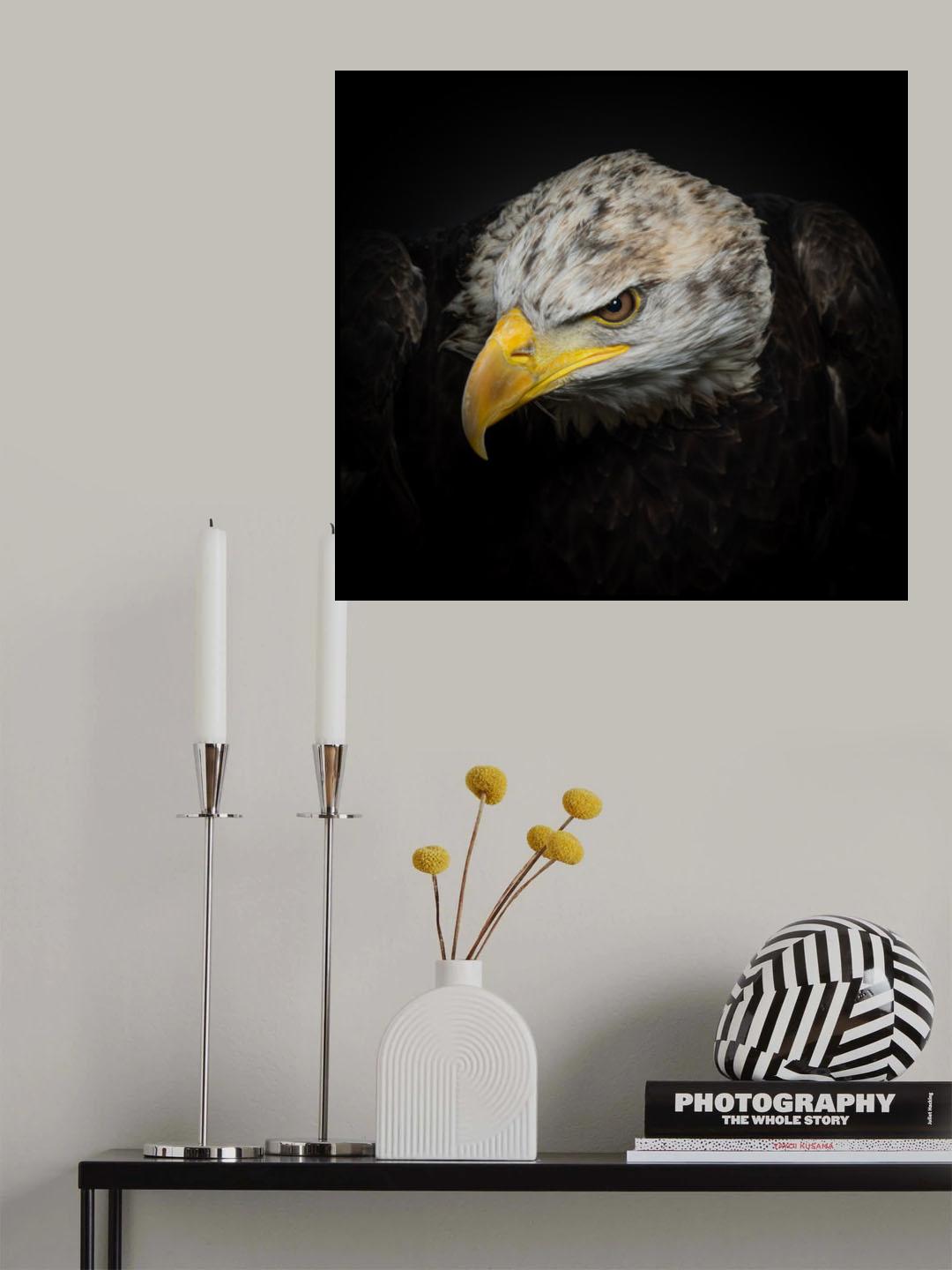 The American Eagle Poster och Canvastavla