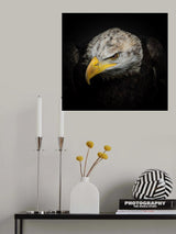 The American Eagle Poster och Canvastavla