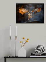 In the morning glow Poster och Canvastavla
