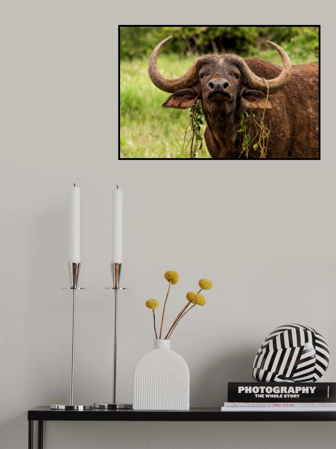 Hipster Buffalo Poster och Canvastavla