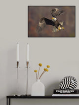 King of the sky Poster och Canvastavla