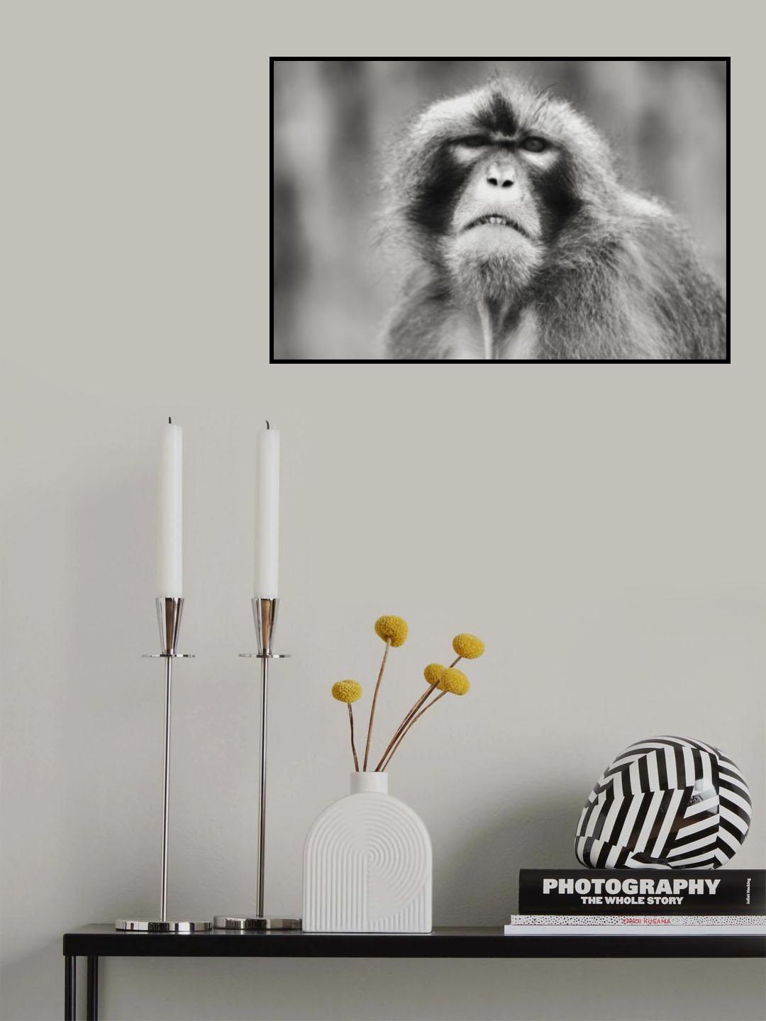 What ?? Poster och Canvastavla