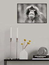 What ?? Poster och Canvastavla