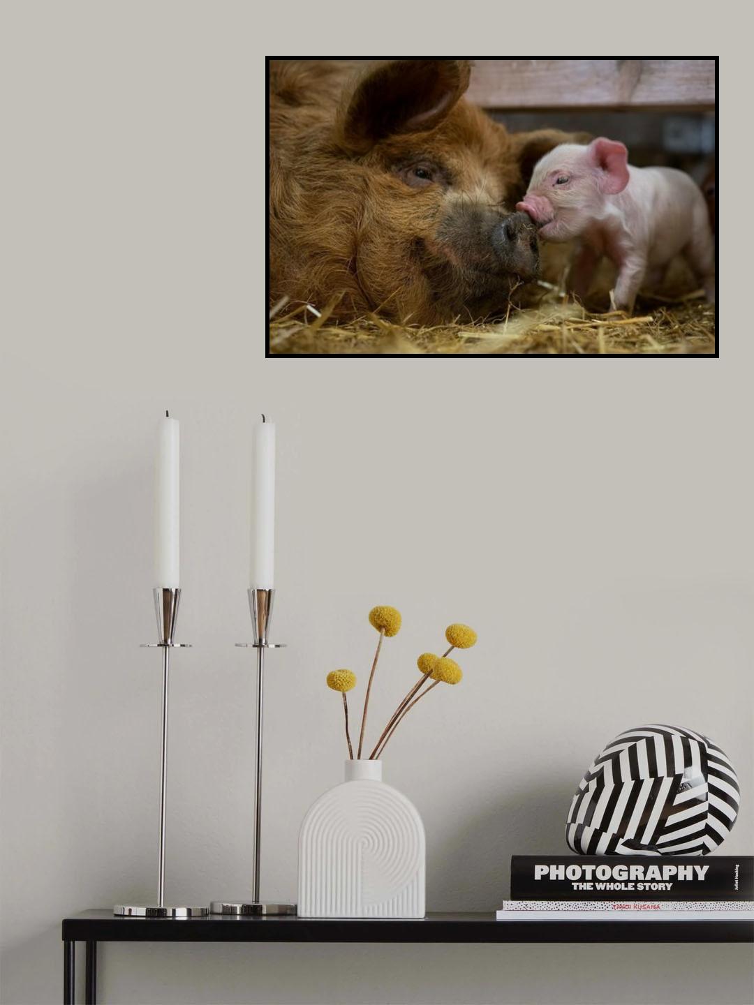 Love Poster och Canvastavla