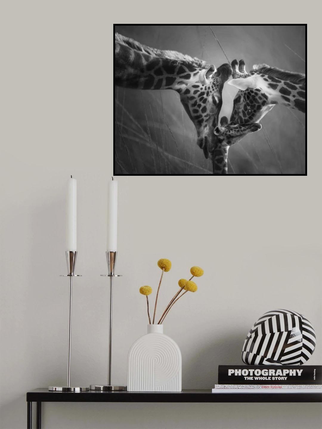 The Kiss of Love Poster och Canvastavla