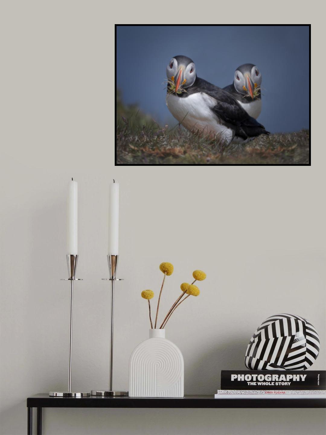 The Nest Builders Poster och Canvastavla
