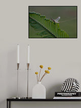 Thephythm of the morning Poster och Canvastavla
