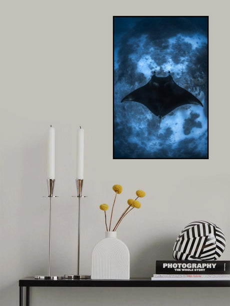 Manta on the Reef Poster och Canvastavla