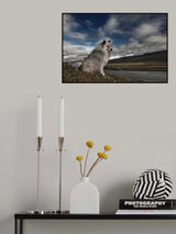 Moment in Time Poster och Canvastavla