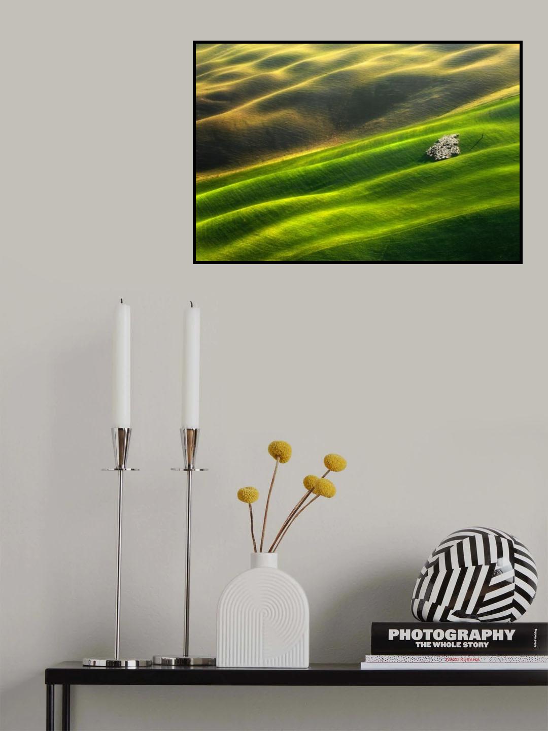 Flock of sheep... Poster och Canvastavla
