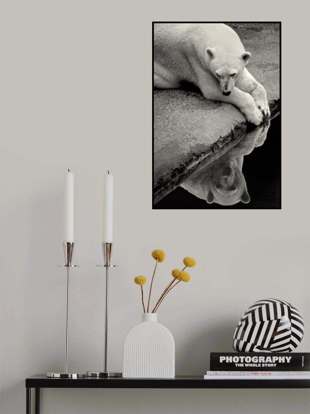 Who is that beauty in the water Poster och Canvastavla