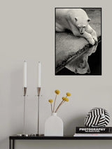 Who is that beauty in the water Poster och Canvastavla
