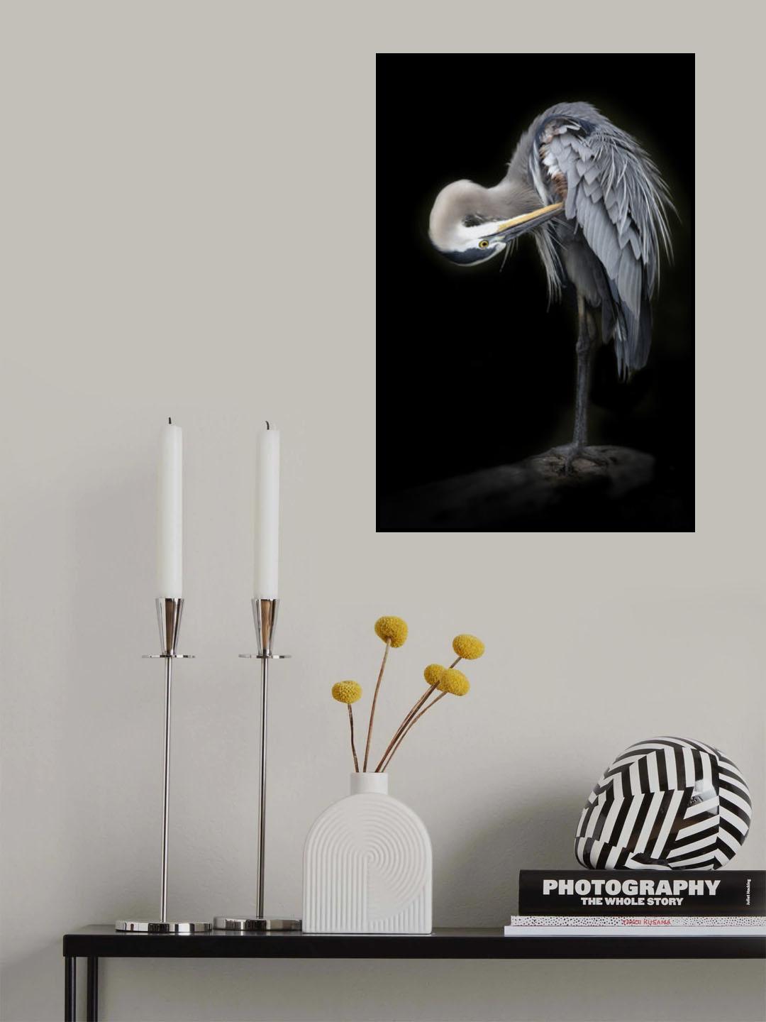 The Great Blue Heron Poster och Canvastavla