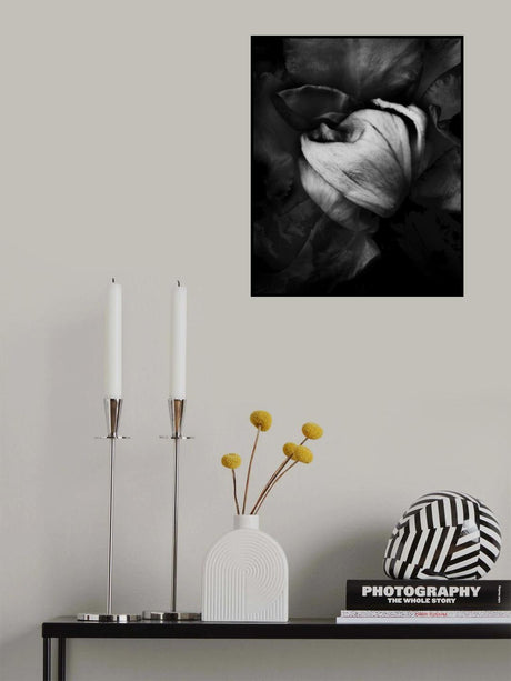 Rose Flower Poster och Canvastavla