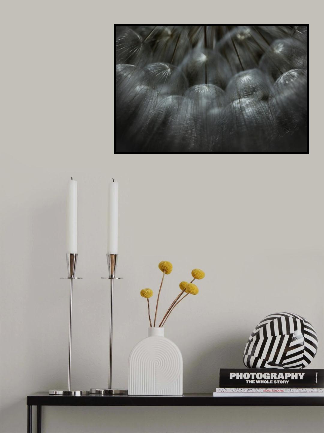Soffione... Poster och Canvastavla