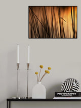 Damsel at sunset Poster och Canvastavla