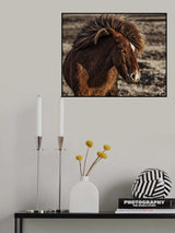 Windblown Poster och Canvastavla
