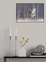 Approaching the Prey Poster och Canvastavla