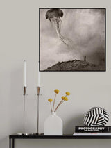 tethered Poster och Canvastavla