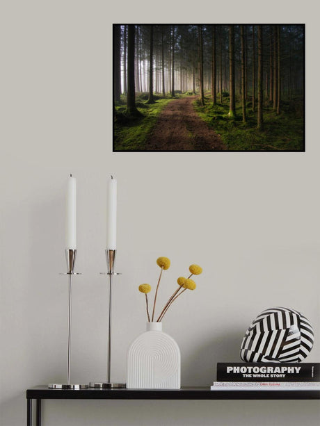 The forest Poster och Canvastavla