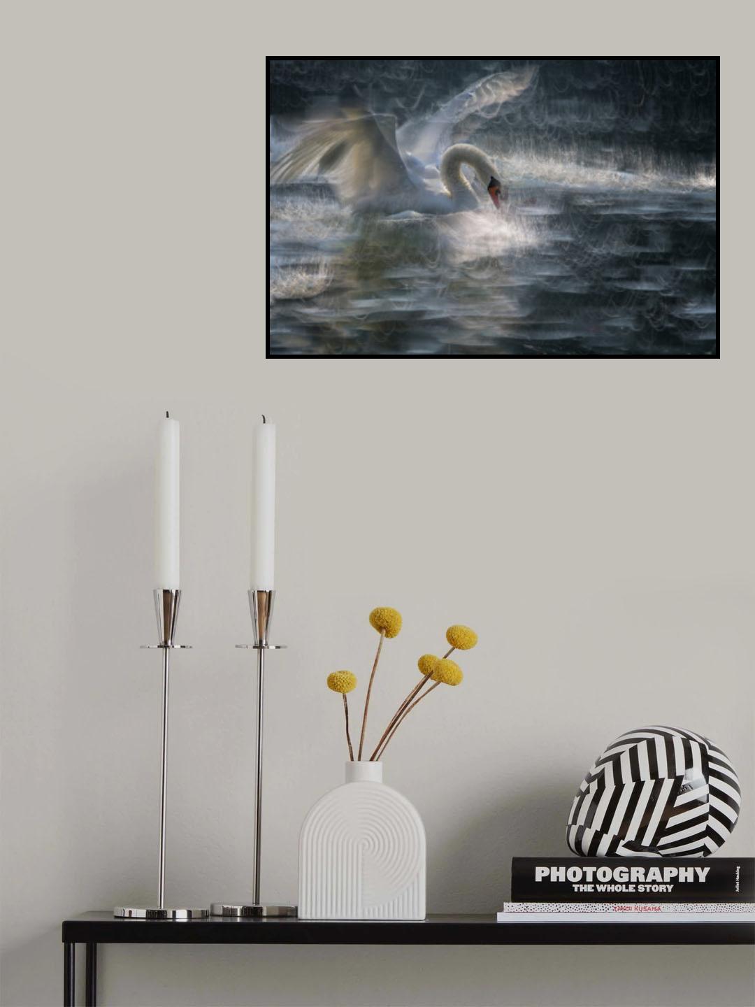Swan Poster och Canvastavla