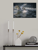 Swan Poster och Canvastavla