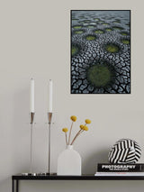 waist land Poster och Canvastavla