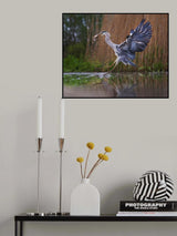 Ballet on the water Poster och Canvastavla