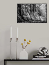 Leaf cleaner Poster och Canvastavla