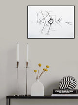 Quivering Poster och Canvastavla
