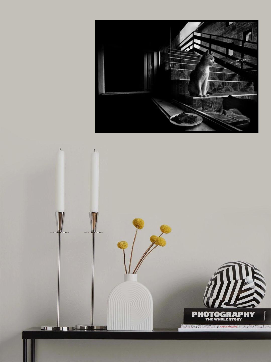 Poster och Canvastavla