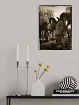 Poster och Canvastavla