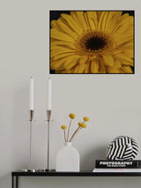 beautiful flower Poster och Canvastavla