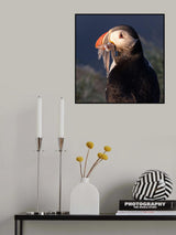 Don't Rob My Food Poster och Canvastavla
