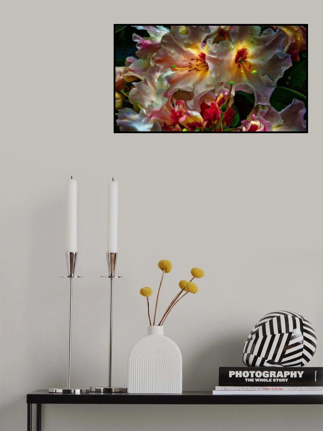 Rhody Delight Poster och Canvastavla