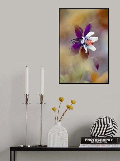 Columbine Poster och Canvastavla