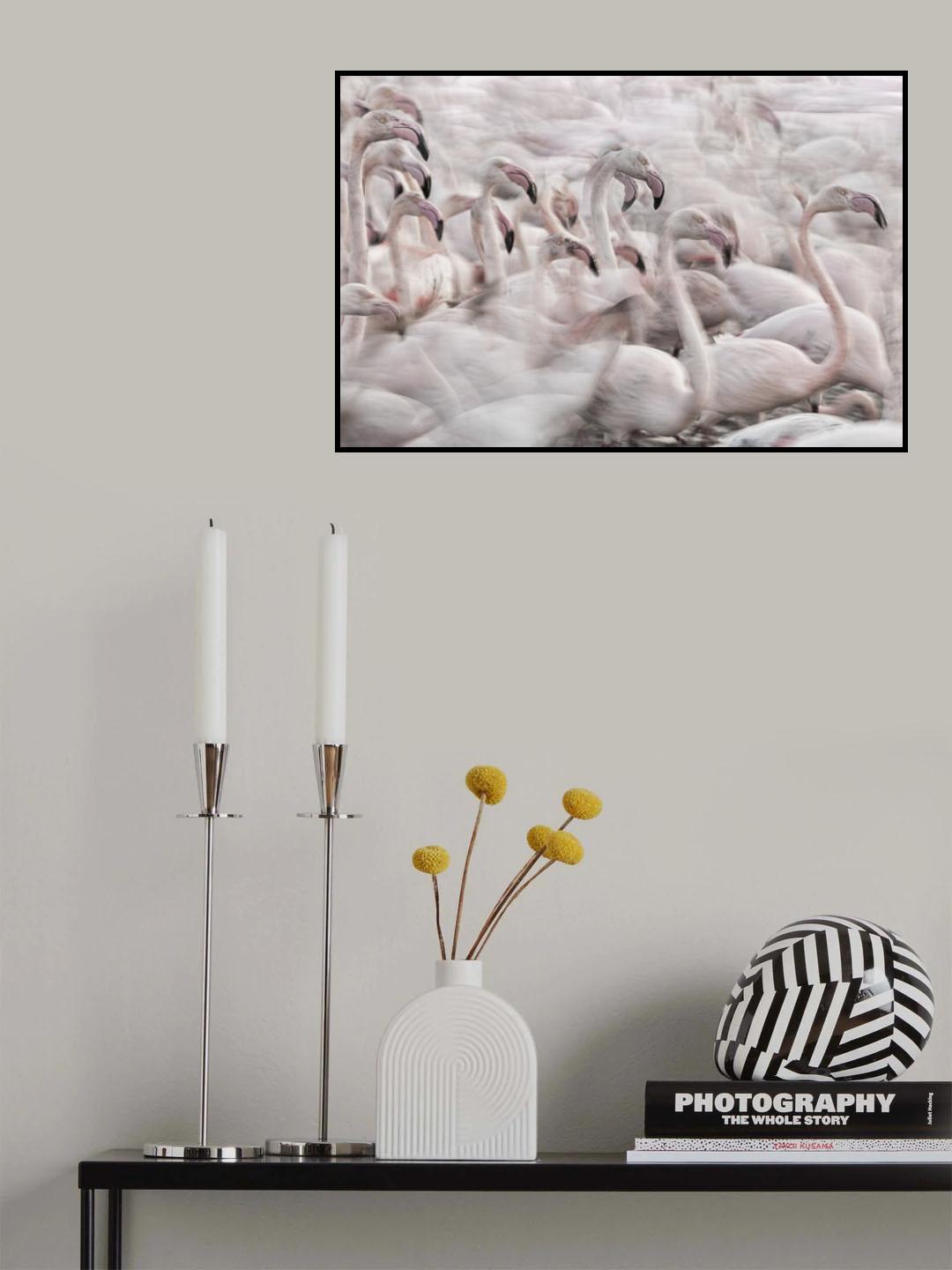 In the Pink transhumance Poster och Canvastavla