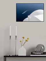curved Poster och Canvastavla