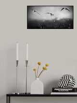 dreambirds 2... Poster och Canvastavla