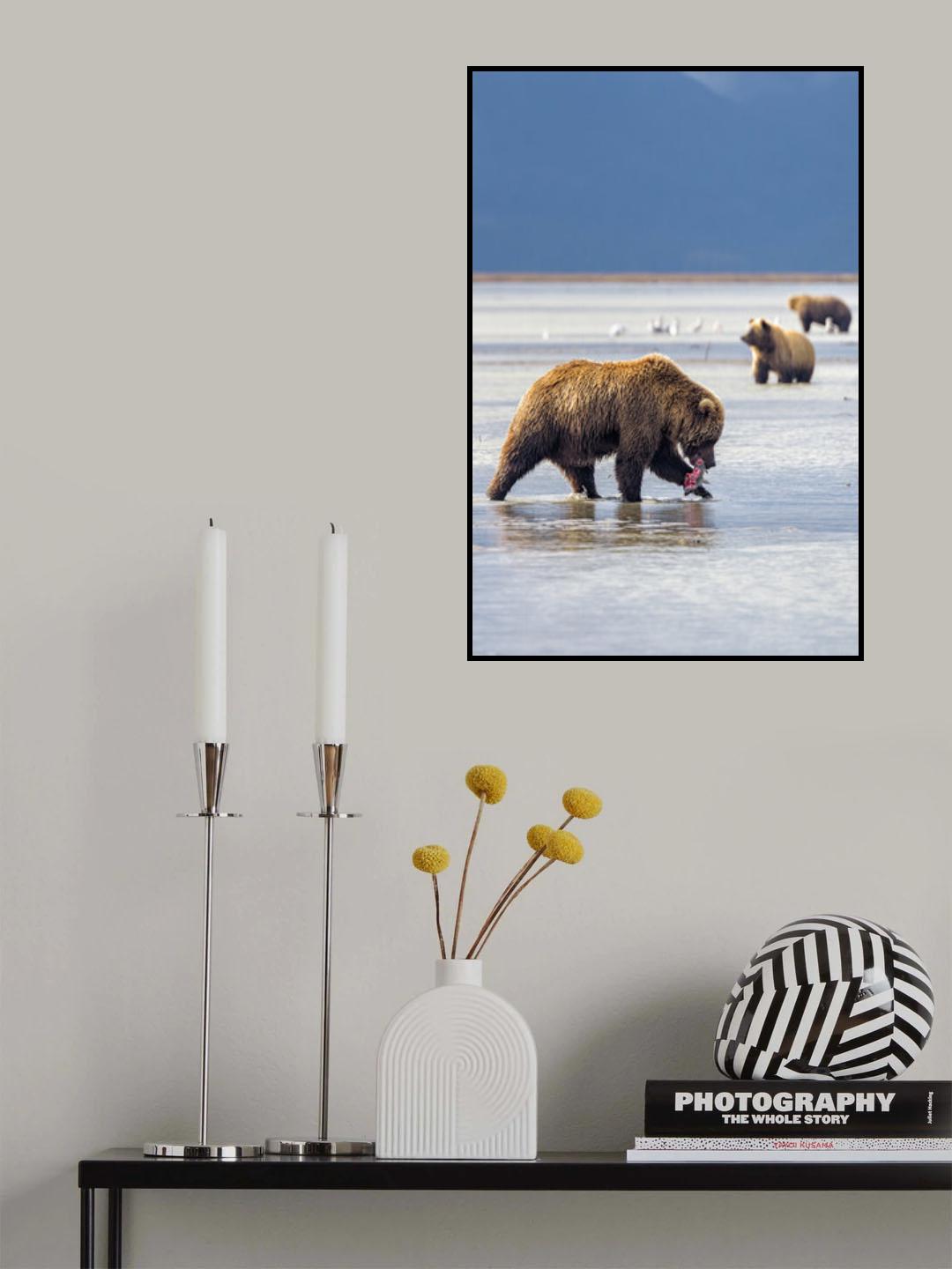 Hunting Bear Poster och Canvastavla