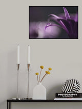 Drops of jupiter Poster och Canvastavla