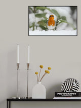 Robin in the snow. Poster och Canvastavla