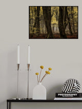 Hidden Beauty Poster och Canvastavla