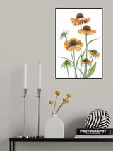 Helenium Poster och Canvastavla