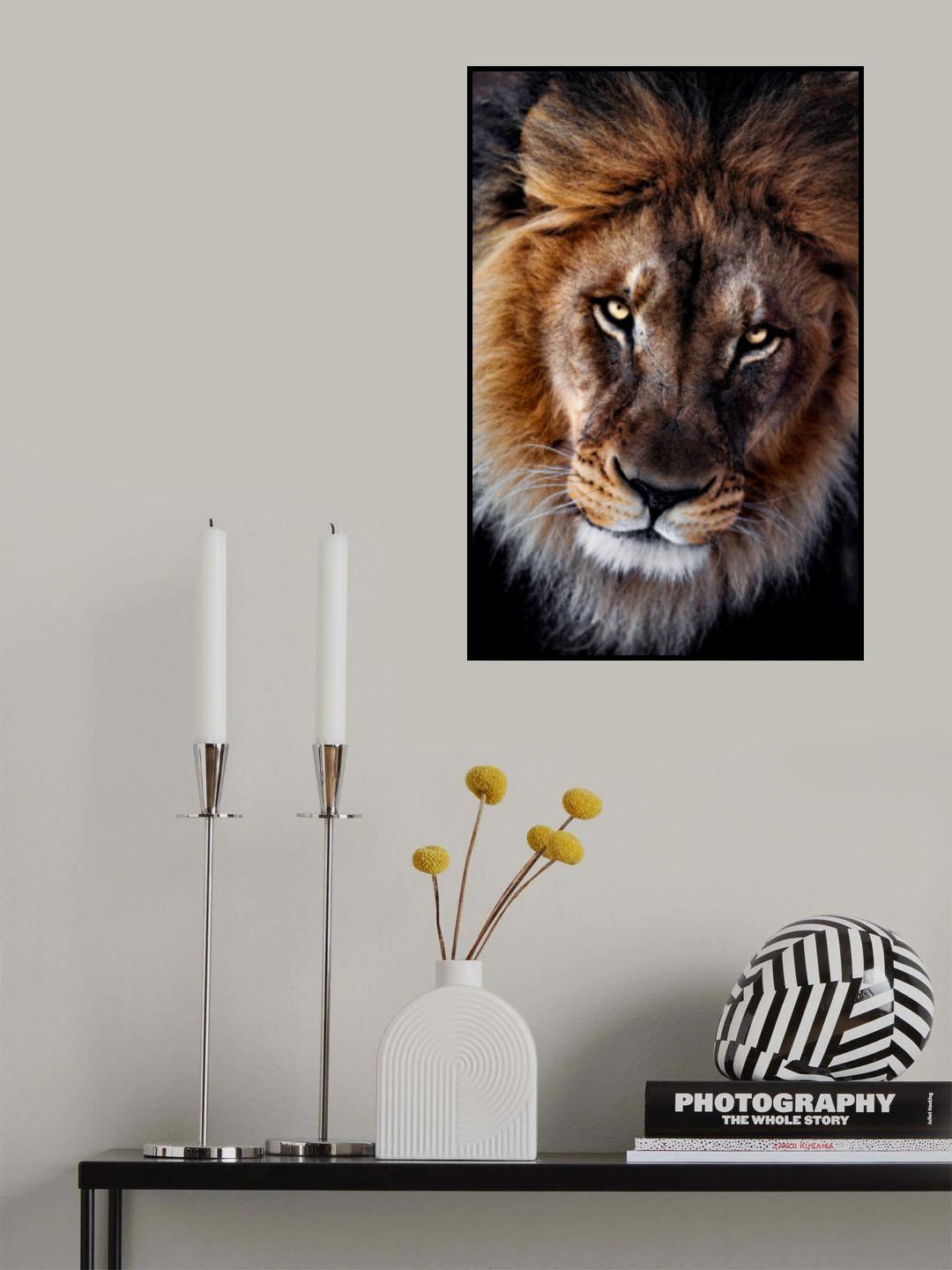 The king Poster och Canvastavla