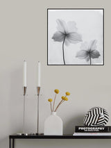 Anemone hupehensis Poster och Canvastavla