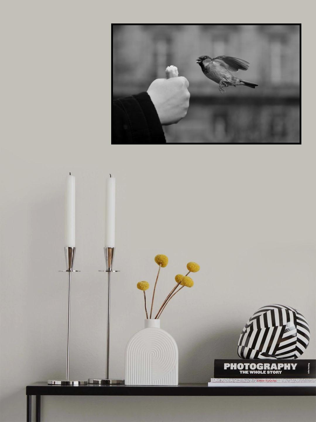 Not afraid Poster och Canvastavla