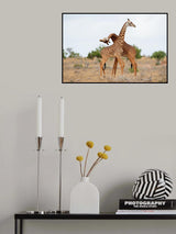 Necking Poster och Canvastavla