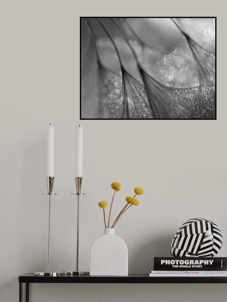 Poster och Canvastavla