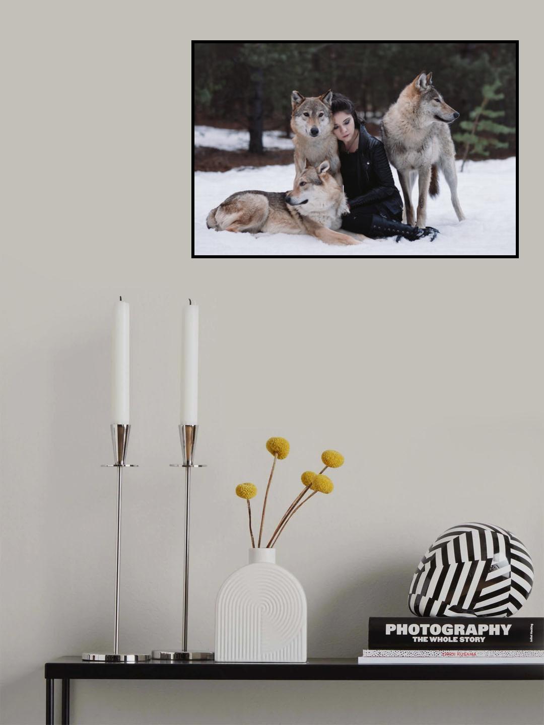 * Poster och Canvastavla